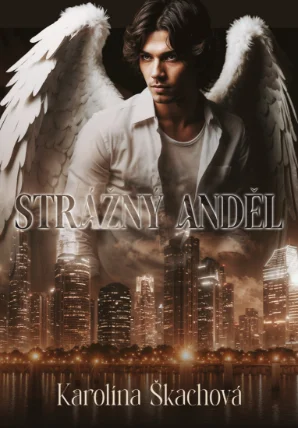 Kniha Str&aacute;žn&yacute; anděl